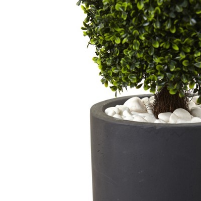 50" Green Boxwood Topiary in Gray Plastic Planter