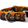 Country Brook Petz HossFit Jr Wide Premium  Dog Collar - Halloween Collection - 4 of 4