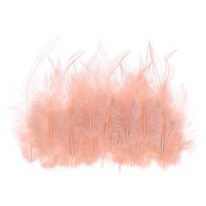 Unique Bargains DIY Dream Catcher Earrings Saddle Hackle Rooster Feathers 50 Pcs - 1 of 4