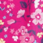 raspberry sorbet field floral