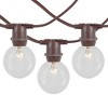Novelty Lights Globe Outdoor String Lights with 25 In-Line Sockets Brown Wire 25 Feet - 2 of 4