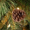 4'H Sullivans Lit Mixed Pine Tree In Burlap, Green - 2 of 2