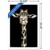 Trends International Portrait of a Giraffe Framed Wall Poster Prints - 3 of 4