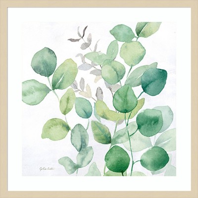 Eucalyptus Leaves I Framed Graphic Art Print in Natural Wood