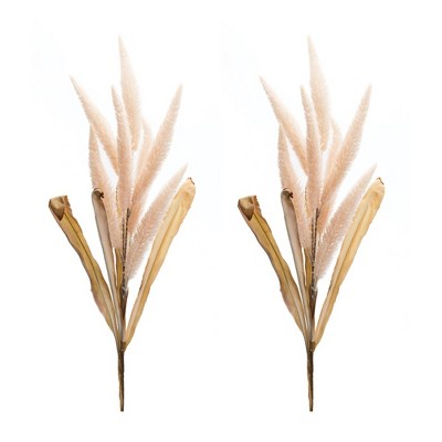 Foxtail Plume Stem (Set of 2)