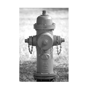 Canvas Wall Art - Lori Hutchison 'Fire Hydrant' Wall Art for Living Room, Bedroom, or Office Décor by Trademark Fine Art - 22 x 32 Inches - 1 of 4
