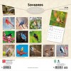 BrownTrout Songbirds 2026 12"x24" Hanging Square Wall Calendar Plastic-Free - 2 of 4