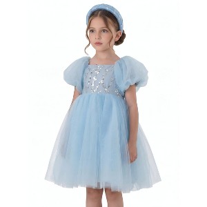 2Bunnies Girls' 12M-9Y Beaded Sequin Embellished Tulle Babydoll Holiday Party Birthday Flower Girl Dress light blue 1-2 years