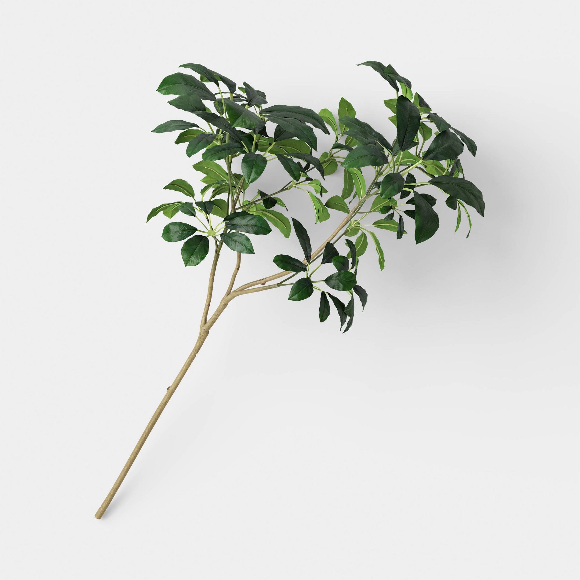 Schefflera Leaf Branch - Threshold™