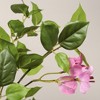 Gulches 5FT in Artificial Baby Pink Flower Green Leaf Bougainvillea Tree in Black Plastic Pot 1pc Set Realistic Faux Flowering Indoor - 4 of 4