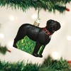 Old World Christmas Glass Blown Ornament, Standing Black Lab - 2 of 4