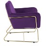 NicBex Velvet Accent Chair,Upholstered Living Room Chairs with Mid-Height Backrest and Metal Base,Modern Armchair,Club Chairs for Living Room - 4 of 4