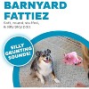 ZippyPaws Outward Hound Fattiez Pig Plush Squeaky Dog Toy, Small - 2 of 4