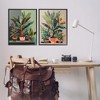 Stupell Industries Various House Plants, 24" x 30" - 2 of 4