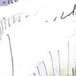 clear push pins bundle