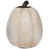 Northlight Knitted Fall Harvest Pumpkin Decoration - 6.25" - Beige - 4 of 4