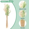 Unique Bargains Artificial Bunny Tails Dried Home Decor Realistic Pampas Grass 17 Inch 120 Pcs - 2 of 4