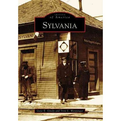 Sylvania - by Gaye E. Gindy (Paperback)