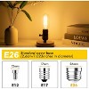 Runesay Dimmable E26 LED Edsion Bulbs 60Watt, 4.3 inches T45/T14 6W Tubular Light Bulbs, 900Lumen Vintage Light Bulbs, 2700K Warm White (2pcs) - 3 of 4