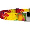Country Brook Petz Martingale Dog Collar with Premium Buckle - Groovy Collection - 4 of 4