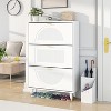 TiranisuBest Shoe Storage Cabinet with 2 Flip Drawers, Slim Wooden Freestanding Shoe Organizer with Shelf for Entryway Hallway–Holds 24 Pairs, Black - 2 of 4