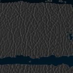 los angeles chargers