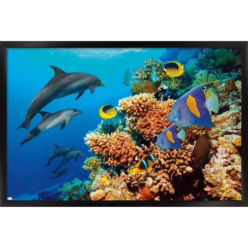 Trends International Aquatic Scene Framed Wall Poster Prints : Target