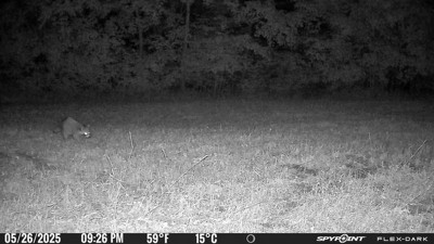 Guest review image 5 of 5, zoom in