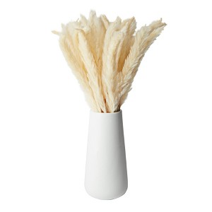 Farmlyn Creek 40 Pack Ivory Natural Dried Pampas Grass Branches with White Ceramic Vase, Plants for Home Decor, 16 in - 1 of 4