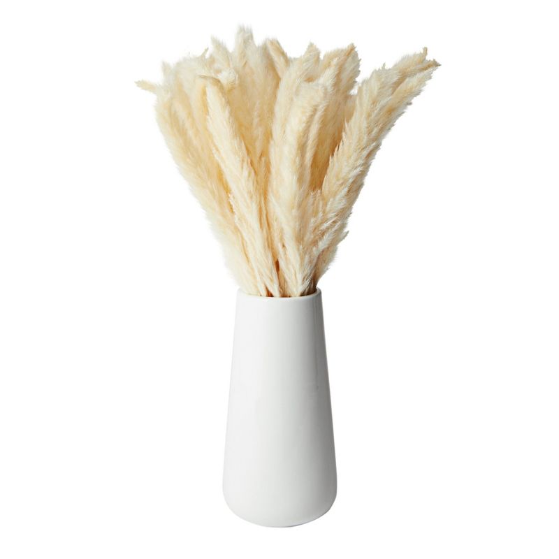 Farmlyn Creek 40 Pack Ivory Natural Dried Pampas Grass Branches with White Ceramic Vase, Plants for Home Decor, 16 in, 1 of 9