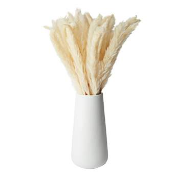 Farmlyn Creek 40 Pack Ivory Natural Dried Pampas Grass Branches with White Ceramic Vase, Plants for Home Decor, 16 in