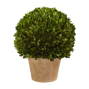 Nearly Natural 15-in Boxwood Ball Preserved Plant in Planter - 1 of 3