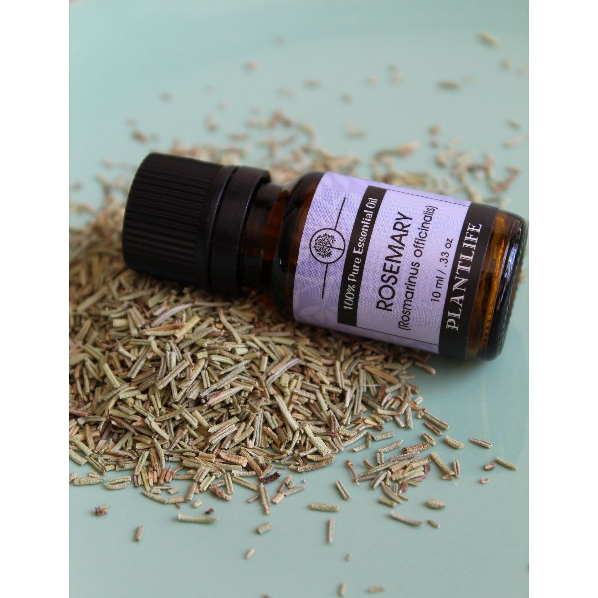 Plantlife Herb Sampler Set 6-Pack (Thyme, Rosemary, Basil, Black Pepper, Dill, Oregano) Aromatherapy Essential Oils – No Additives, 10 ml - thumbnail 4