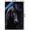 Trends International Laurie Prindle - The Black Framed Wall Poster Prints - 3 of 4
