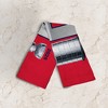 NHL Florida Panthers 2025 Stanley Cup Champions Gather Rally Towel 15x18 inches - 2 of 4
