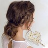 Unique Bargains Women's Fashion Elegant Conch Hair Clips 4.33"x2.56"x1.57" 1 Pc - 2 of 3