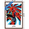Trends International Marvel Comics Spider-Man - Gallery Edition Peter Framed Wall Poster Prints - 3 of 4