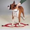 Casual Canine Nylon 2 Step Harness 9-15In Red - 2 of 4
