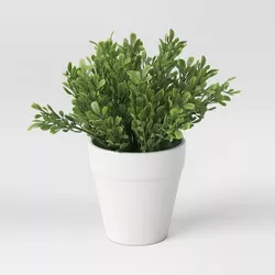 6" Artificial Sage in Ceramic Pot Green - Threshold™