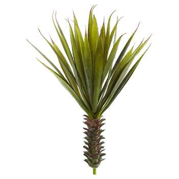 Spiky Agave Succulent Plant 2pk - Nearly Natural