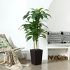 5-6ft UV & Sunproof Artificial Dracaena Tree for Indoor/Outdoor - Faux Silk Plant in Tall Planter, Tall Faux Tree for Home & Garden Decor - 2 of 4