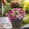 Sunnydaze Indoor/Outdoor Patio, Garden, or Porch Weather-Resistant Double-Walled Anjelica Flower Pot Planter - 24" - 2 of 4
