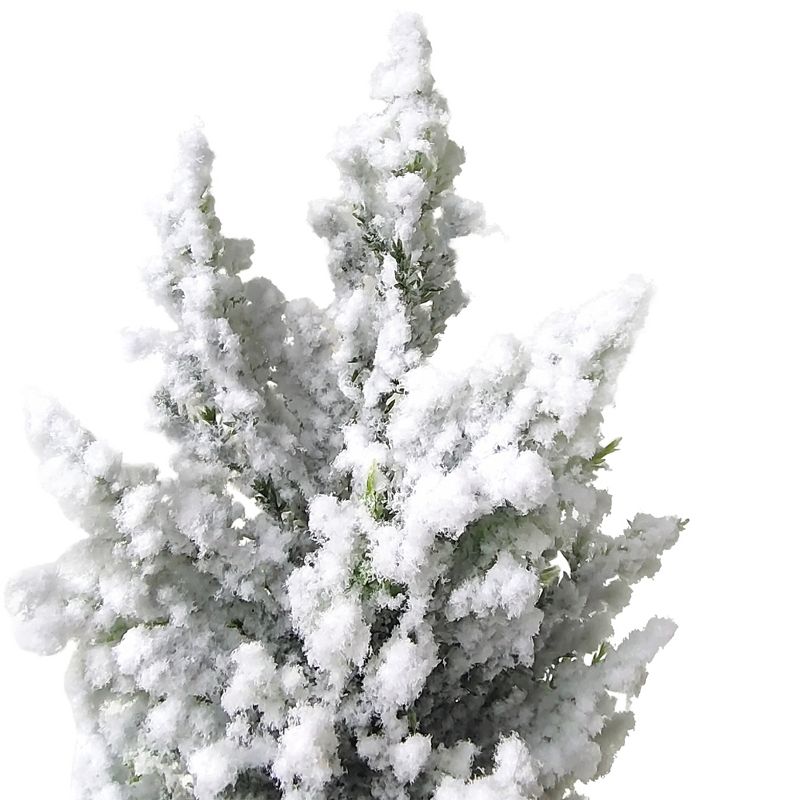 Northlight 12.5" Heavily Flocked Pine Tree in Burlap Base Christmas Decoration, 4 of 5