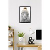 Trends International Sasha - Lion In Winter Framed Wall Poster Prints - 2 of 4