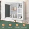 Dexmalle Morden Wall Mounted Bathroom Storage with Mirror - 4 of 4