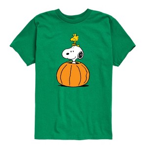 Boys' - Peanuts - Snoopy Woodstock Pumpkin - 1 of 4