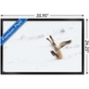 Trends International The Comedy Wildlife Photography Awards: Angela Bohlke - Diving Fox Framed Wall Poster Prints - 3 of 4