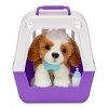 Little Live Pets My Really Real Puppy - Patches The Beagle - 2 of 4