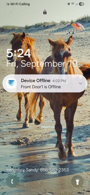 Guest review image 4 of 5, zoom in