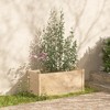 vidaXL Planter Decorative Outdoor Patio Plant Pot Flower Box Solid Wood Pine Brown 2 pcs - 3 of 4